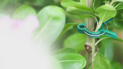 Plant Support Clips – 40 Pcs Garden Clips | EcoNour Plant Support