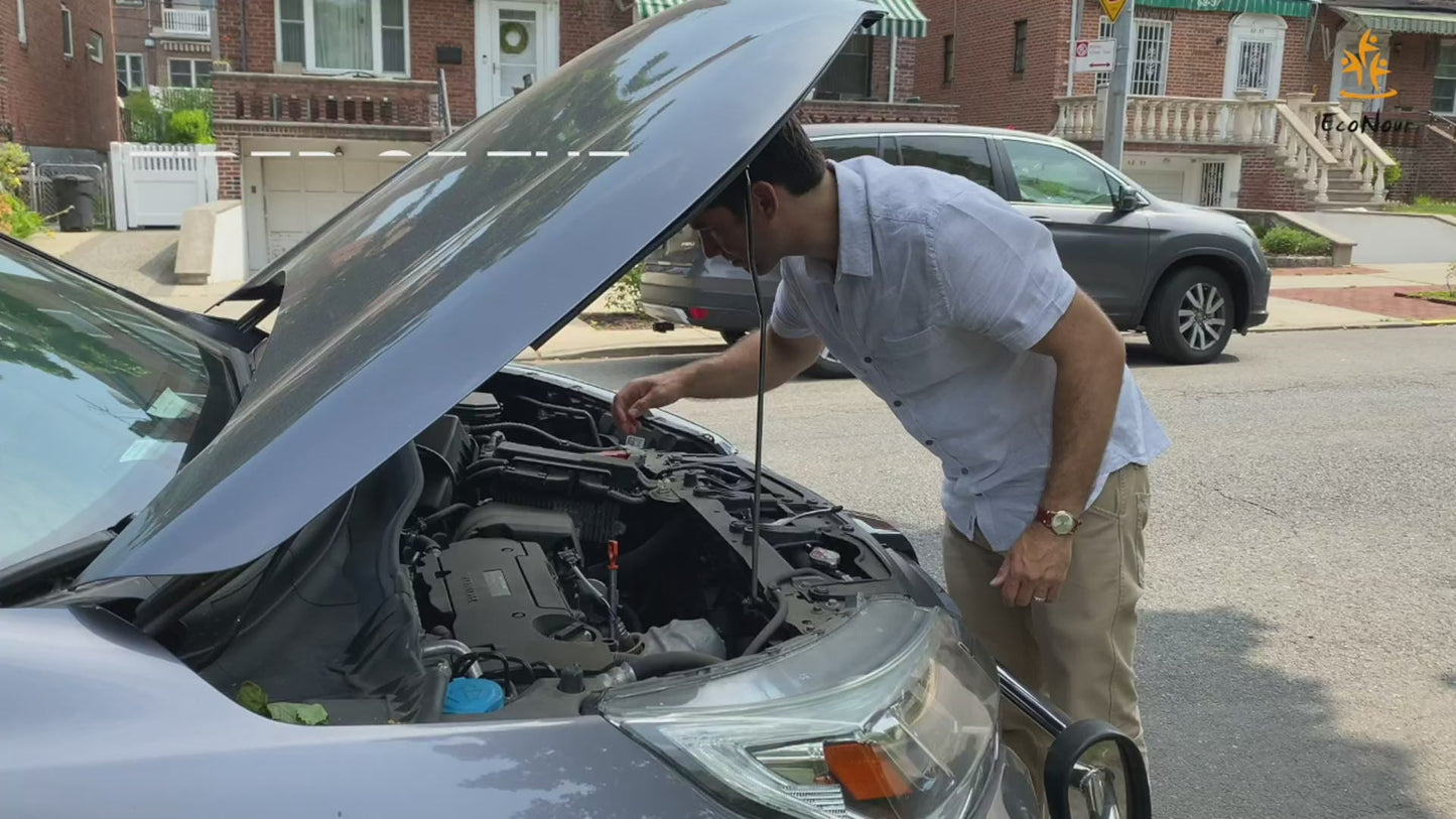 Trunk Organizer for Car (Black) | Cargo Storage Box | EcoNour