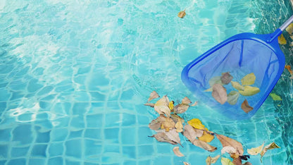 Skimmer Net with Pole | EcoNour Pool Cleaning Tool for Debris & Leaves