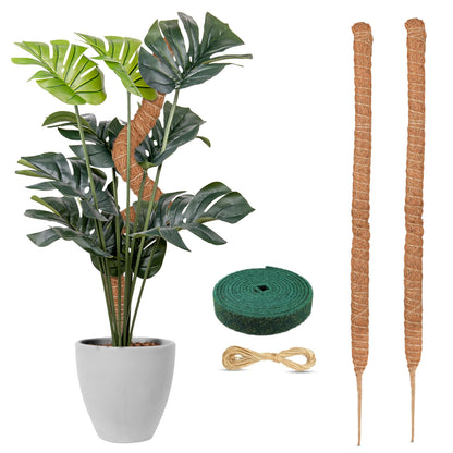 Moss Pole Monstera Plant Support 28" for Indoor Plant 2-Pack | EcoNour