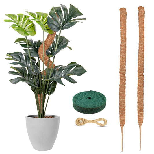 Moss Pole Monstera Plant Support 28" for Indoor Plant 2-Pack | EcoNour