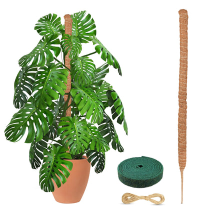 Tall Moss Pole for Plants (1-Pack) 48 " | EcoNour Plant Support pole
