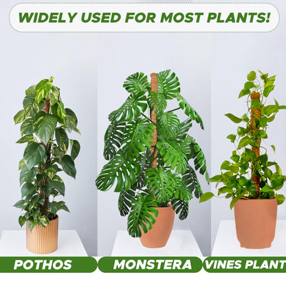 Moss Pole Monstera Plant Support 28" for Indoor Plant 2-Pack | EcoNour