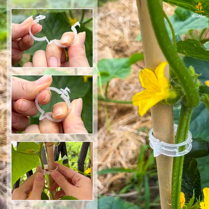 Plant Support Clips – 300 Pcs for Garden | EcoNour Tomato Clips