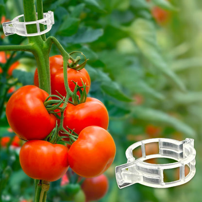 Plant Support Clips – 100 Pcs for Garden | EcoNour