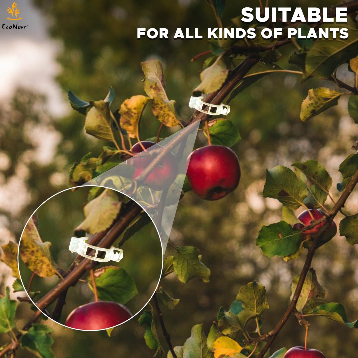 Plant Support Clips – 300 Pcs for Garden | EcoNour Tomato Clips
