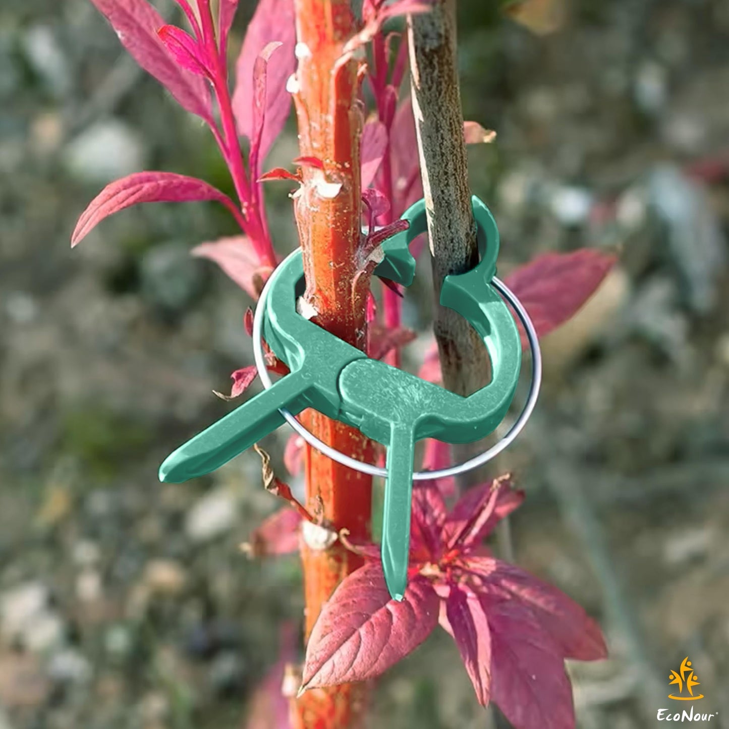 Plant Support Clips – 40 Pcs Garden Clips | EcoNour Plant Support