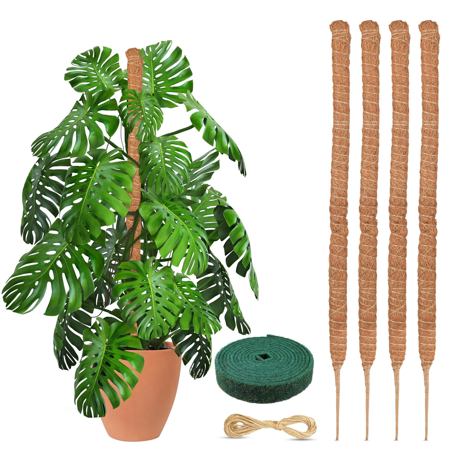Moss Pole Monstera Plant Support 28" (4 Pack) Indoor Plants | EcoNour