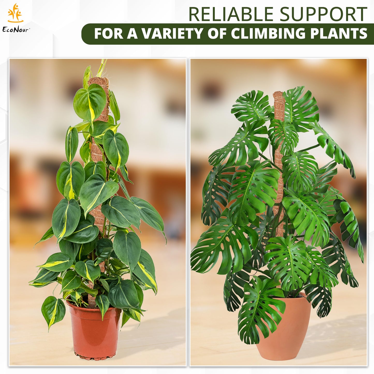 Moss Pole Monstera Plant Support 28" (4 Pack) Indoor Plants | EcoNour