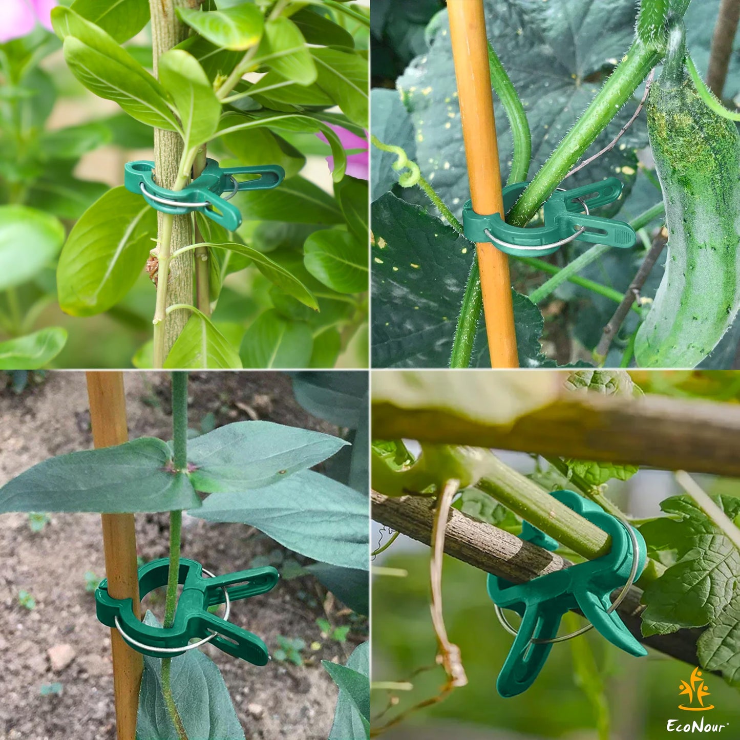 Plant Support Clips – 40 Pcs Garden Clips | EcoNour Plant Support