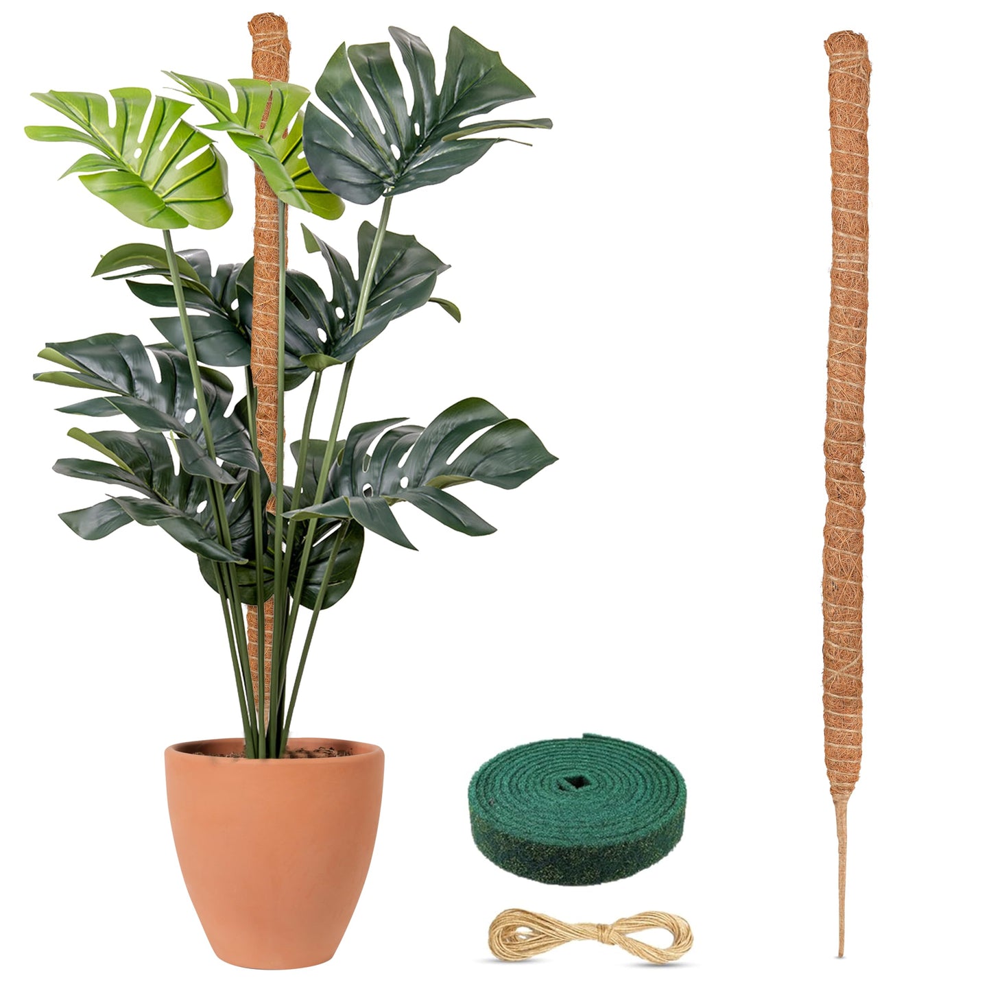 Moss Pole for Plants 63" | EcoNour Monstera Plant Support Stick