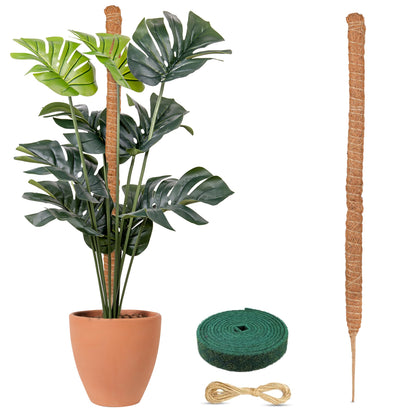 Moss Pole for Plants 63" | EcoNour Monstera Plant Support Stick