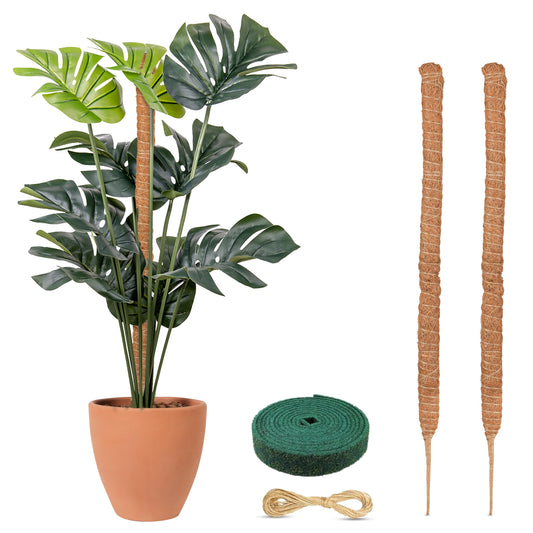 Tall Moss Pole for Plants 48" (2-Pack)| EcoNour Monstera Support Stick